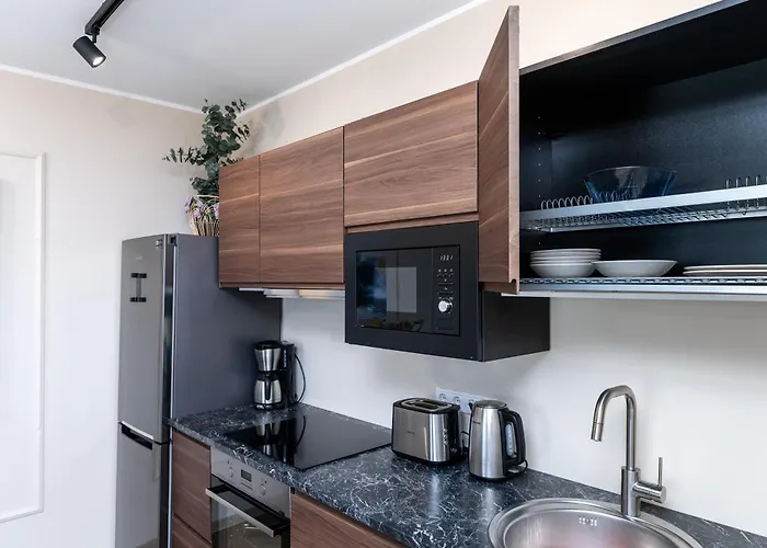 Viru, 2-bedroom With Parking By Ca 公寓 塔林